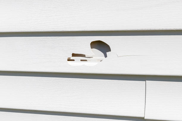 Same-Day Junk Removal Services in Salem, IN